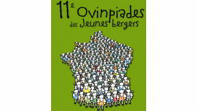 11e Ovinpiades des Jeunes Bergers 12 11e ovinpiades 2016