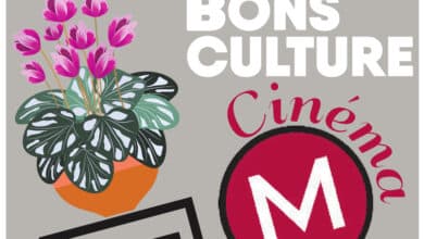 1dons culture 1