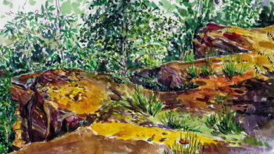 CROQUIS-AQUARELLE : samedi 22 août à Sargé-sur-Braye 3 aquarelle Front roussard laMutte bandeau