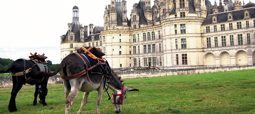Une randonnée pas si «bête» 1 chambord a dos ane badeau