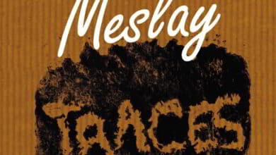 Sur les traces d’un festival : Exposition «Meslay Traces» 1 meslay traces bandeau