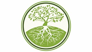 Anniversaire de l’Arbre de Vie, une association novatrice en plein essor à Montoire 5 ArbreDeVie