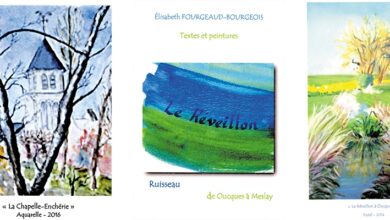 Livre le reveillon elisabeth