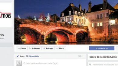 Carton plein sur les réseaux sociaux 12 Réseaux Sociaux Le Petit Vendômois