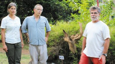Un artiste vendômois à Mayotte 7 artiste vendomois