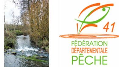 fede peche 41