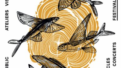 Festival Agri Culturel «Appel d’Air» 11 affiche appel dair avant