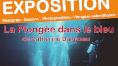 La plongée dans le bleu de Catherine Daluzeau 14 affiche expo catherine daluzeau avant