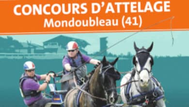 Concours d’attelage à Mondoubleau 7 mondoubleau concours attelage 2022 avant