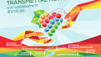 Balades vigneronnes 12 vvr 2022 affiche avant