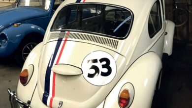 Une «Choupette» dans ma musette 7 choupette avant 1