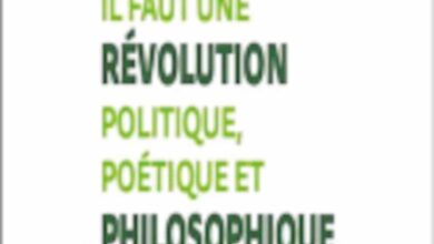 livre chornique camille juin avant