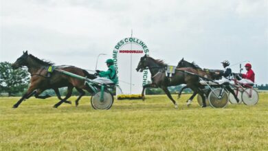 mondoubleau course hippique a avant