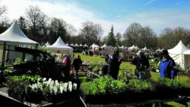 Dernière ligne droite pour les plantations 1 cheverny fete des plantes 1 avant