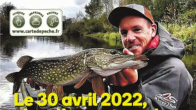 Ouverture brochet : le retour de la pêche du carnassier en Loir-et-Cher 12 fede peche ouverture brochet fd41 banniere avant