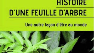 Histoire d’une feuille d’arbre 9 histoire feuille arbre avant