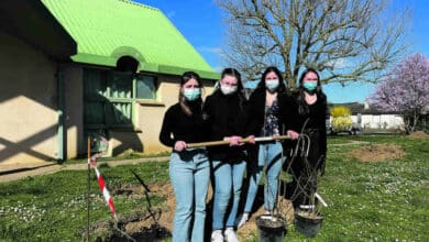 les 4 lyceeennes le jour de la plantation avant