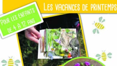 maison botanique programme vacances printemps 2022 1 avant