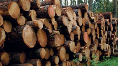 Chauffage au bois, un développement qui a ses limites 10 chauffage bois avant