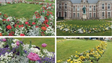 Label «4 Fleurs» maintenu pour Vendôme 9 label 4 fleurs vendome avant