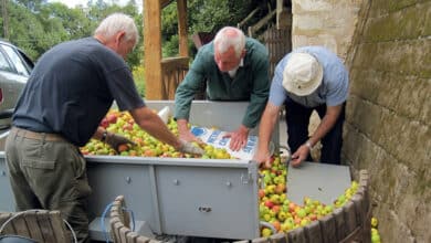 13e fête de la pomme à Saint-Ouen 1 st ouen fete de la pomme a avant