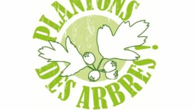 design sans titre 40 1