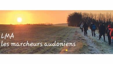 design sans titre 62 1