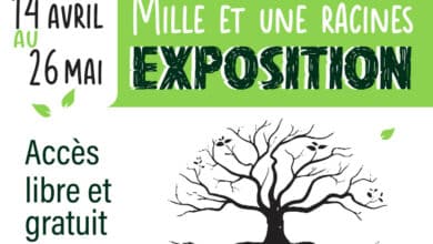 Mille et une racines 2 mille et une racine 2