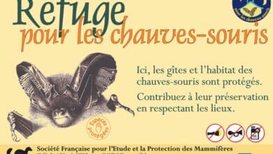 juin 24 41