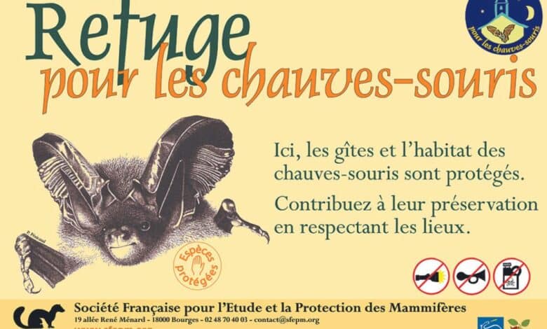 juin 24 41
