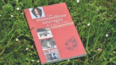 design sans titre 84