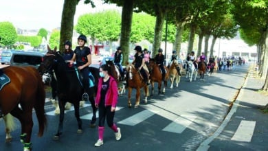 la cavalerie