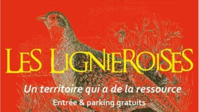 septembre 24 15