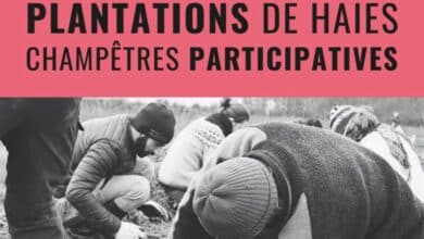 janvier 25 1 1