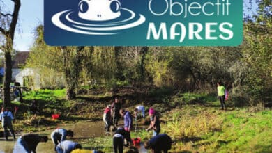 restauration des mares avec le cdnpe 1