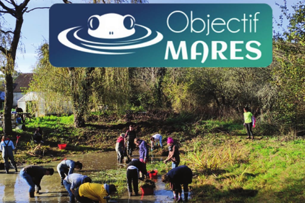 restauration des mares avec le cdnpe 1