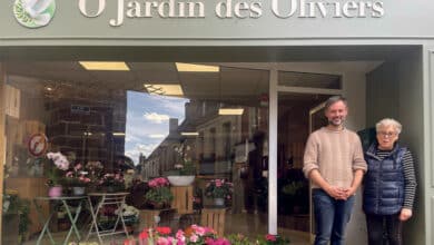 Ô Jardin des Oliviers 6 img 9030 1