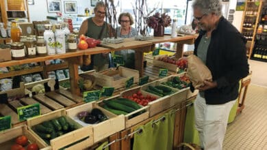 Les Cocottes tiennent bon la rampe 6 le comptoir ds cocottes 1