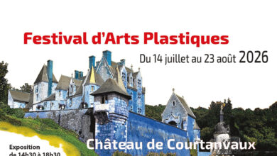 Les arts plastiques en festival au château de Courtanvaux 3 les arts plastiques en festival au chateau de courtanvaux inline 2