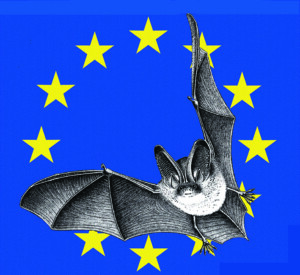 Avec Perche Nature 4 nuit chauve souris