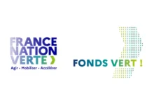fonds vert 1