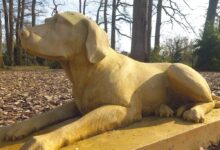 Le président qui parlait Anglais à son chien