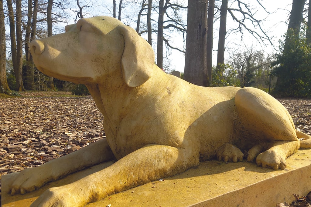 Le président qui parlait Anglais à son chien