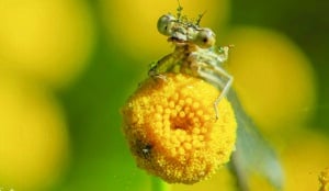 Avec Perche Nature 2 merveille nature 1