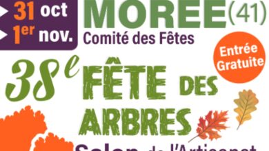 38e fête des arbres 2 38e fête des arbres