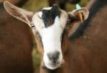 6808b1fcea1ae497587278 1