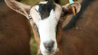 6808b1fcea1ae497587278 1