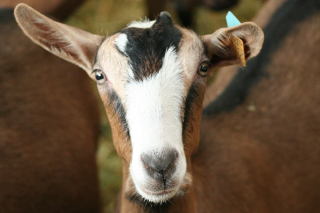 6808b1fcea1ae497587278 1