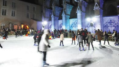 A vos patins ! 2 Abbaye on Ice