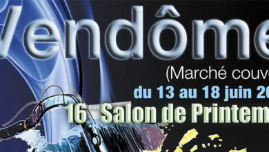 16e salon de printemps du 13 au 18 juin 2015 15 Affiche A.A.V. bandeau